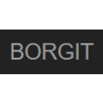 BORGIT Consulting s.r.o. – logo společnosti