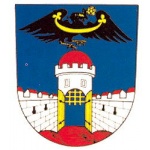 Město Dolní Bousov – logo společnosti